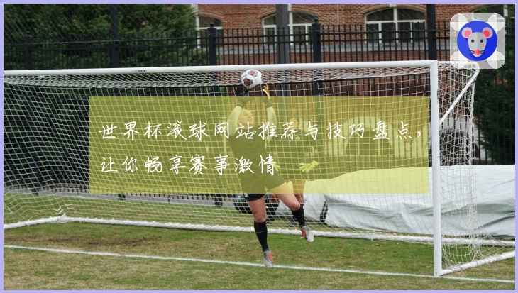 世界杯滚球网站推荐与技巧盘点，让你畅享赛事激情
