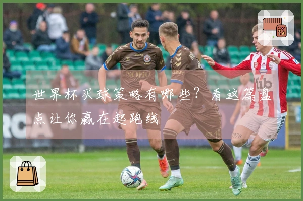 世界杯买球策略有哪些？看这篇盘点让你赢在起跑线