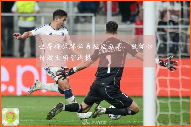 世界杯买球必看经验分享，教你如何做出明智选择