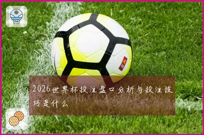 2026世界杯投注盘口分析与投注技巧是什么