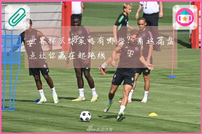 世界杯买球策略有哪些？看这篇盘点让你赢在起跑线