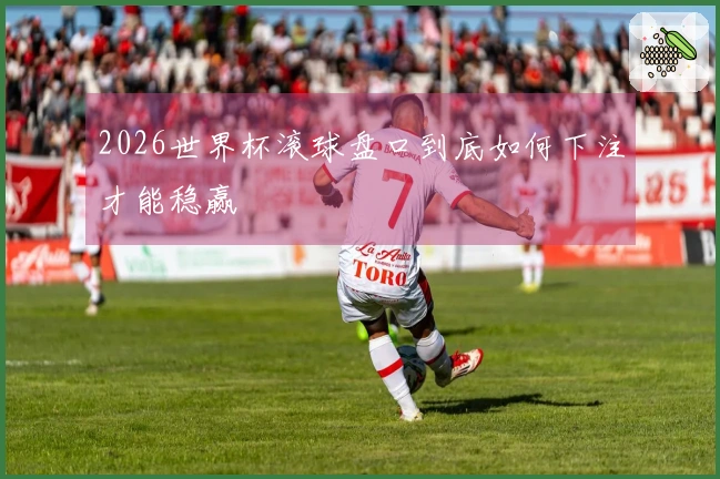 2026世界杯滚球盘口到底如何下注才能稳赢