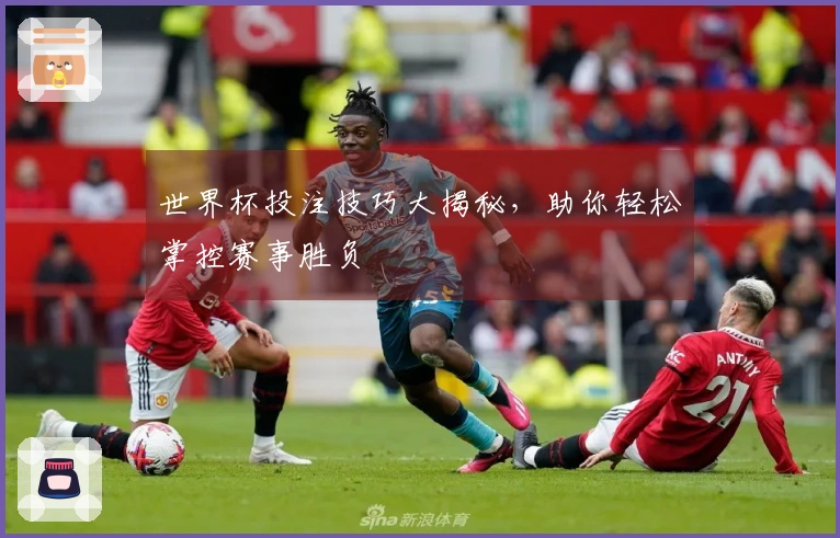 世界杯投注技巧大揭秘，助你轻松掌控赛事胜负