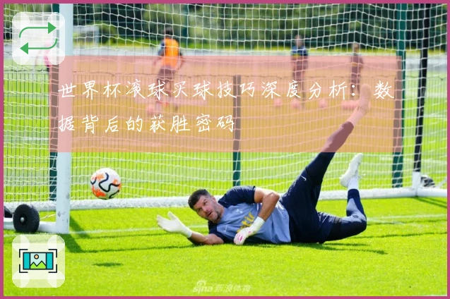 世界杯滚球买球技巧深度分析：数据背后的获胜密码