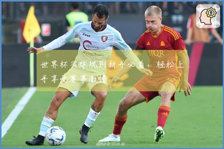 世界杯买球规则新手必看，轻松上手享受赛事激情