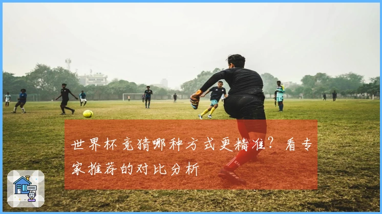 世界杯竞猜哪种方式更精准？看专家推荐的对比分析
