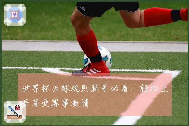 世界杯买球规则新手必看，轻松上手享受赛事激情